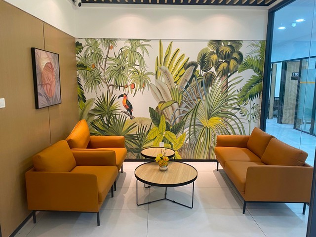 上海专业蜗牛种培育基地哪家好